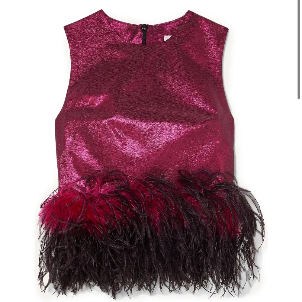 16ARLINGTON
Dickinson cropped feather-trimmed top